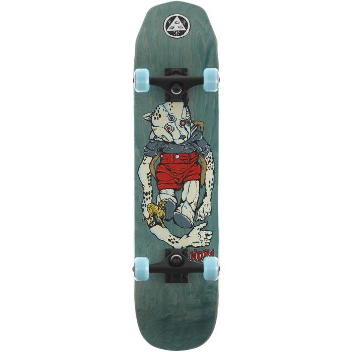 Welcome Nora Teddy 8.0 Wicked Princess Shape Complete Skateboard 00058 teal