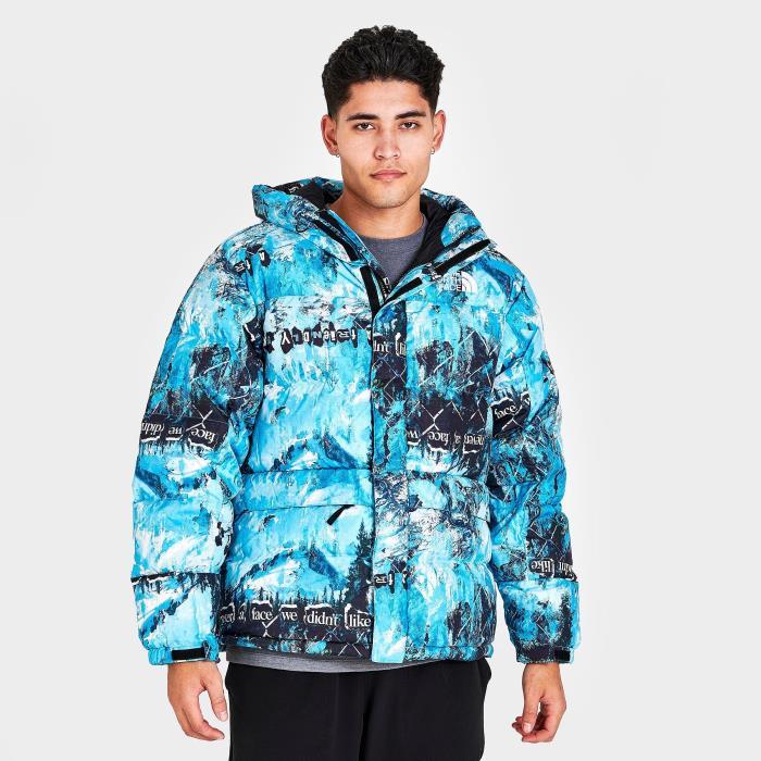 THE NORTH FACE INC Mens HMLYN Printed Down Parka 00099 Norse Blue