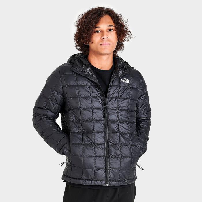 THE NORTH FACE INC Mens ThermoBall Eco Hoodie 2.0 Jacket 00057 BL